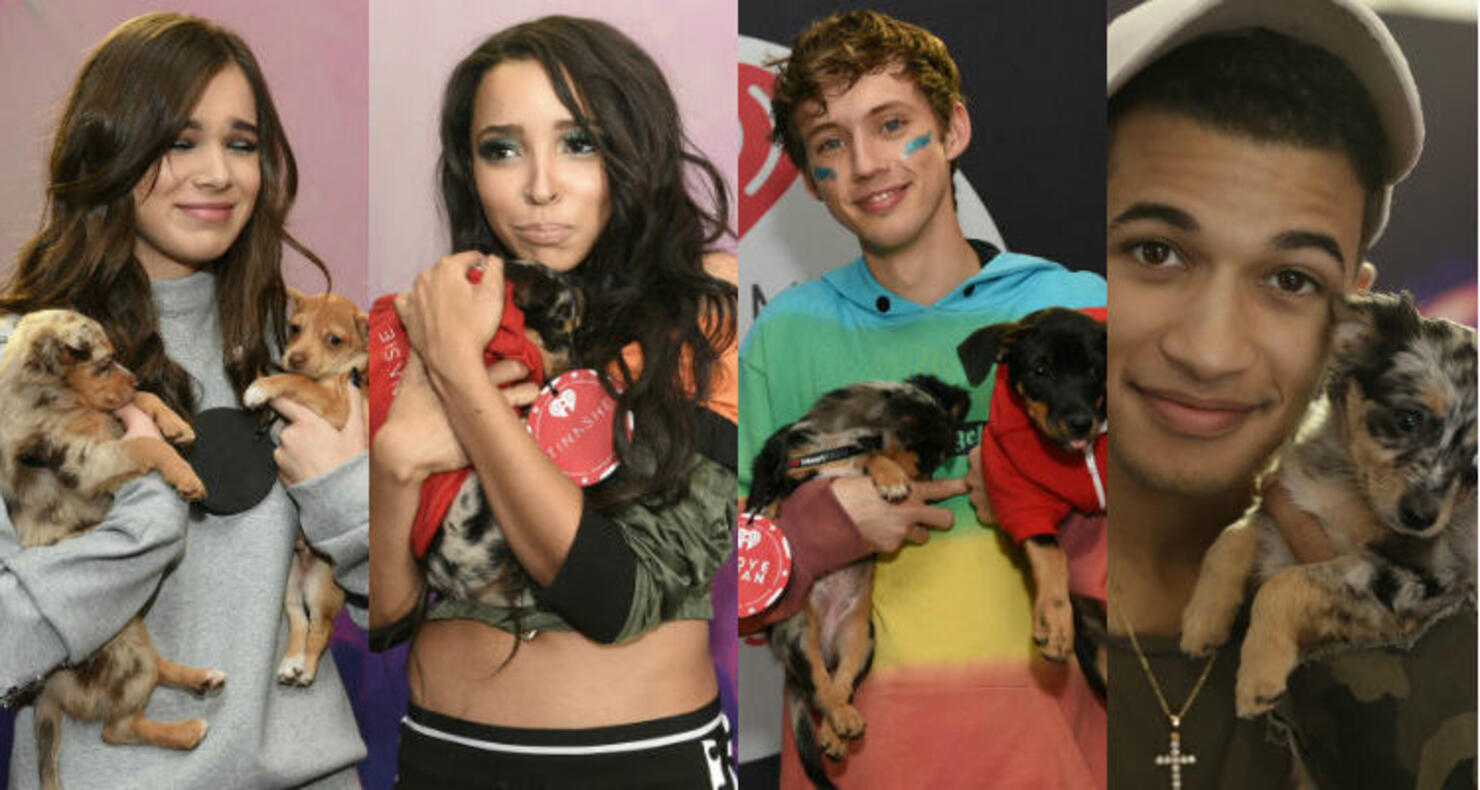 PUPPIES