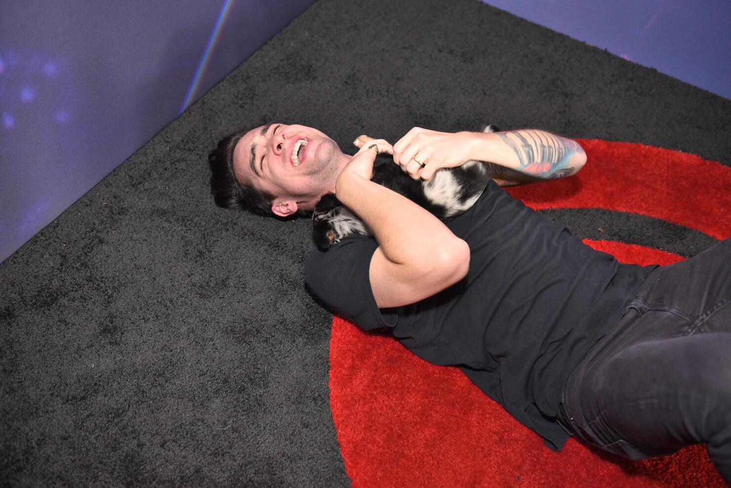 Brendon urie