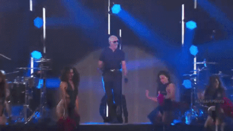 Pitbull