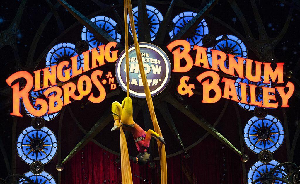 A circus performer hangs upside down during a Ringling Bros. and Barnum & Bailey Circus performance in Washington, DC on March 19, 2015. Across America through the decades, children of all ages delighted in the arrival of the circus, with its retinue of clowns, acrobats and, most especially, elephants. But, bowing to criticism from animal rights groups, the Ringling Bros. and Barnum & Bailey Circus announced on March 5, 2015, it will phase out use of their emblematic Indian stars. AFP PHOTO/ ANDREW CABALLERO-REYNOLDS        (Photo credit should read Andrew Caballero-Reynolds/AFP/Getty Images)