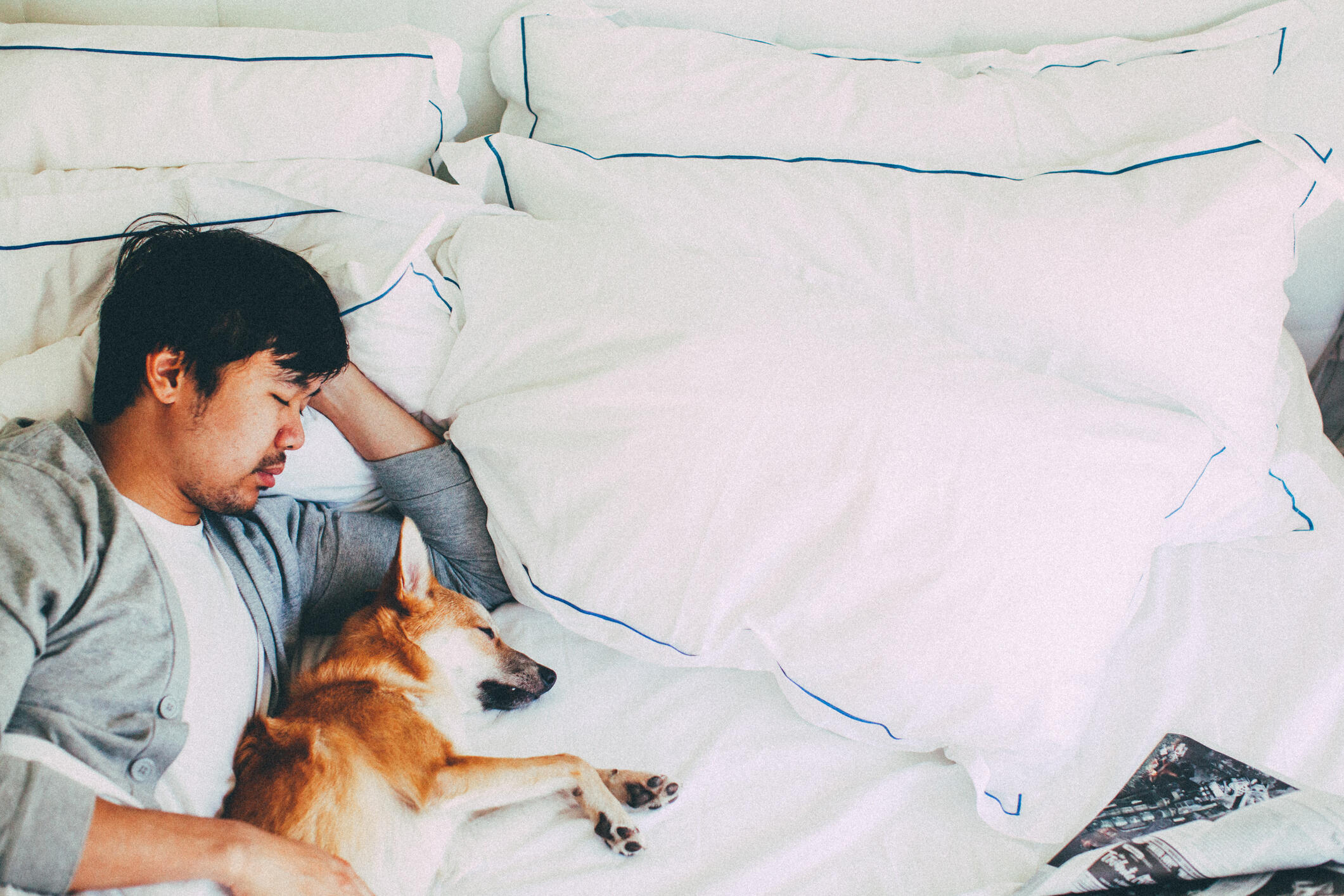 Caught these two cuddling in bed one morning. That Shiba Inu puppy is totally loving the attention!