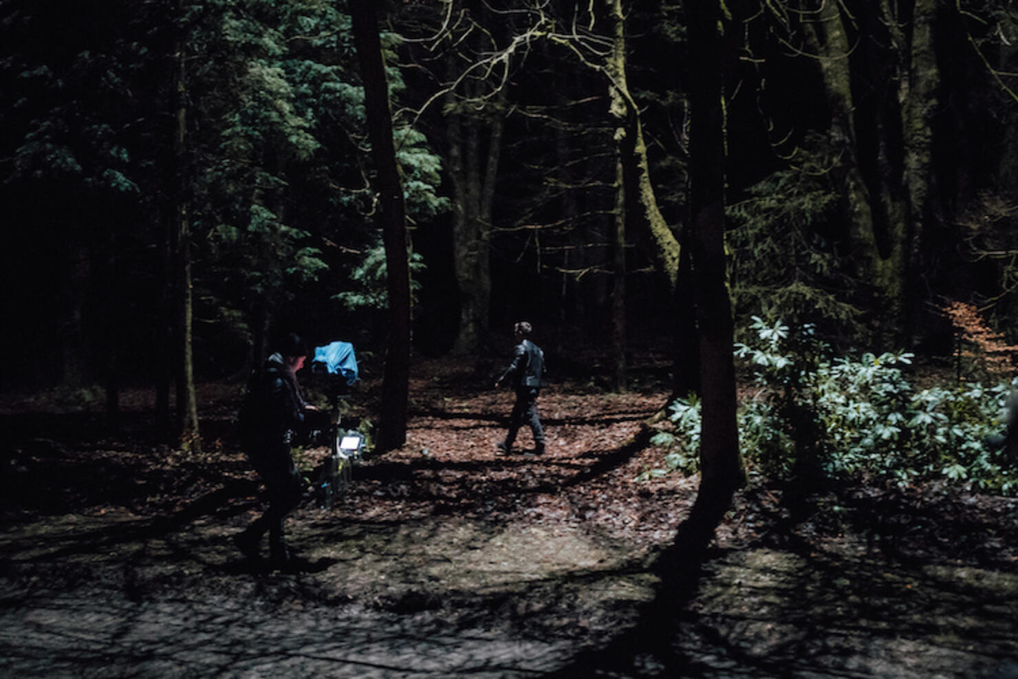 Martin Garrix 'Scared To Be Lonely' Woods Scene