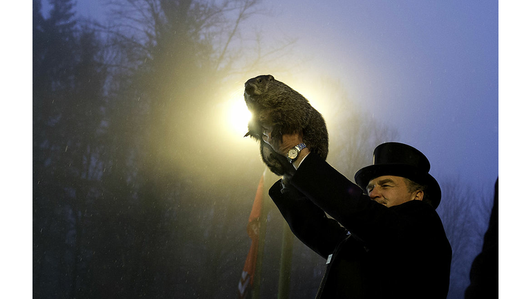 Punxsutawney Phil Makes Annual Forecast On Groundhog Day
