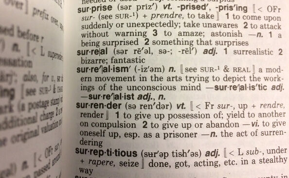 US-LANGUAGE-DICTIONARY-OFFBEAT