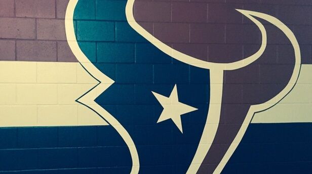 Divisional Round - Houston Texans v New England Patriots