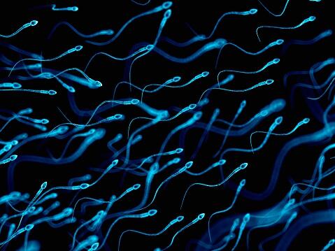 A Sperm Experiment Is Happening In Space - Thumbnail Image