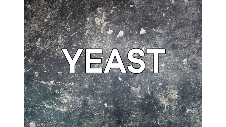 Yeast