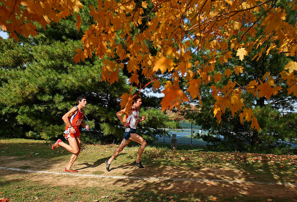 LOUISVILLE, KY - NOVEMBER 10:  Runners compete during the Men's NCAA Southeast Regional Cross Country meet on November 10, 2007 at E.P. Sawyer State Park in Louisville, Kentucky. (Photo by Andy Lyons/Getty Images)