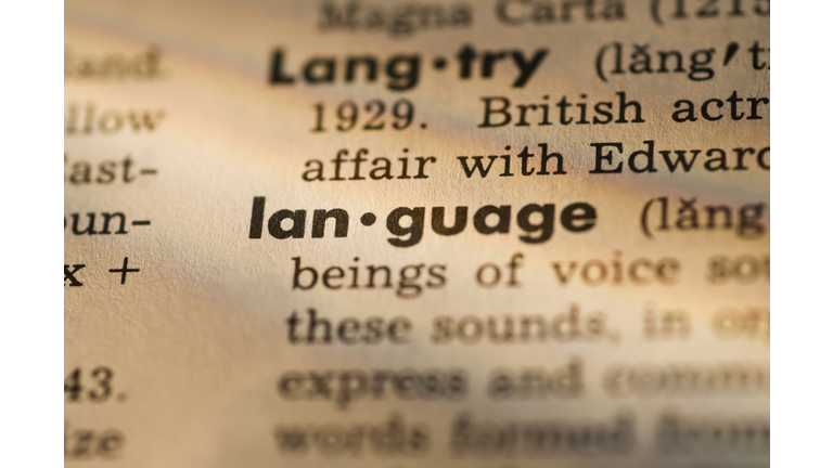 Definition of language in dictionary