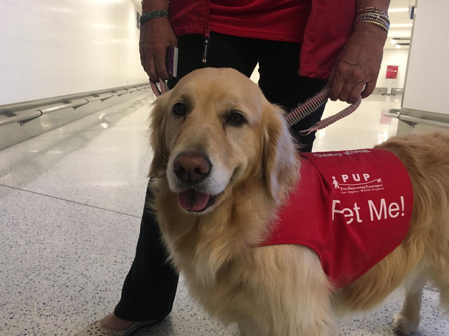 What a good boy