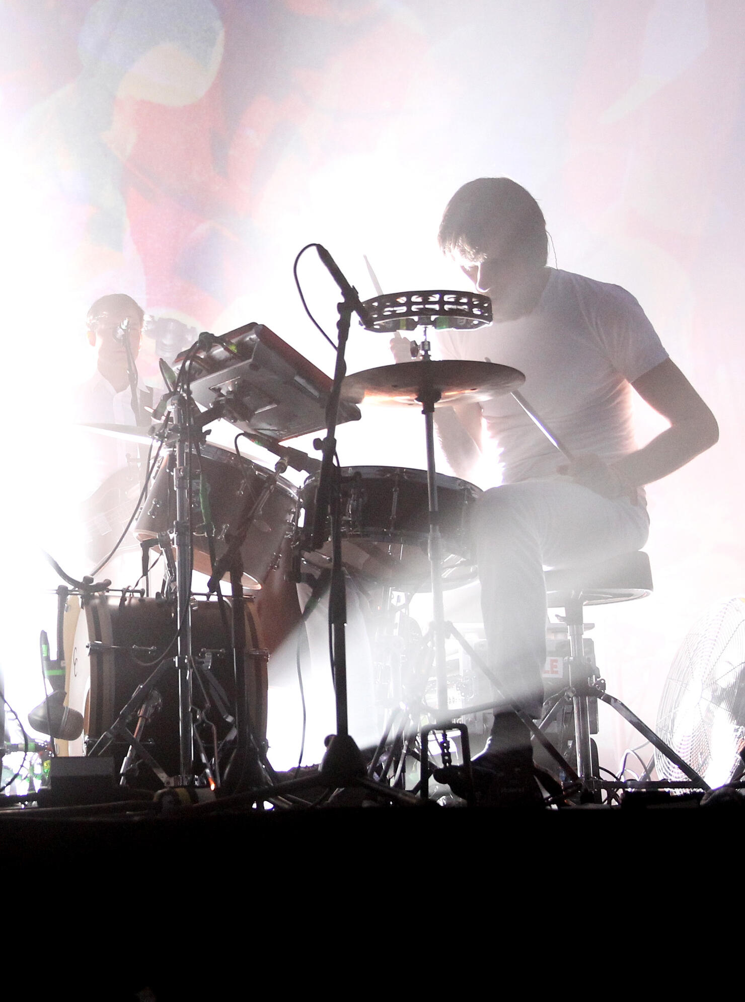 Caribou