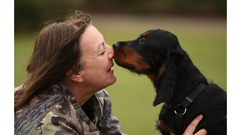 Crufts Prepare For The Start Of Annual Competition