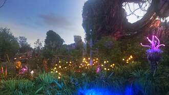 John and Leslye at Pandora - The World of Avatar!