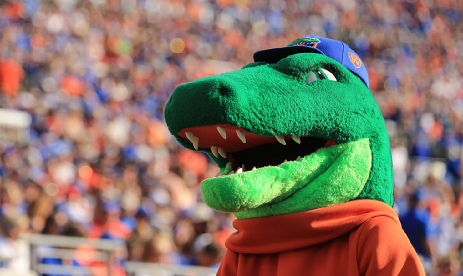Florida v Georgia