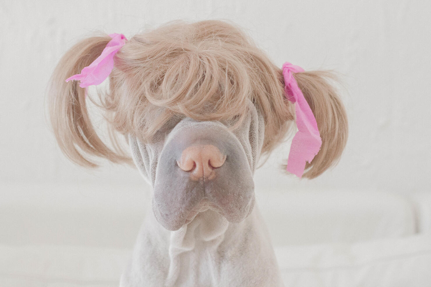 Pigtail Doggy