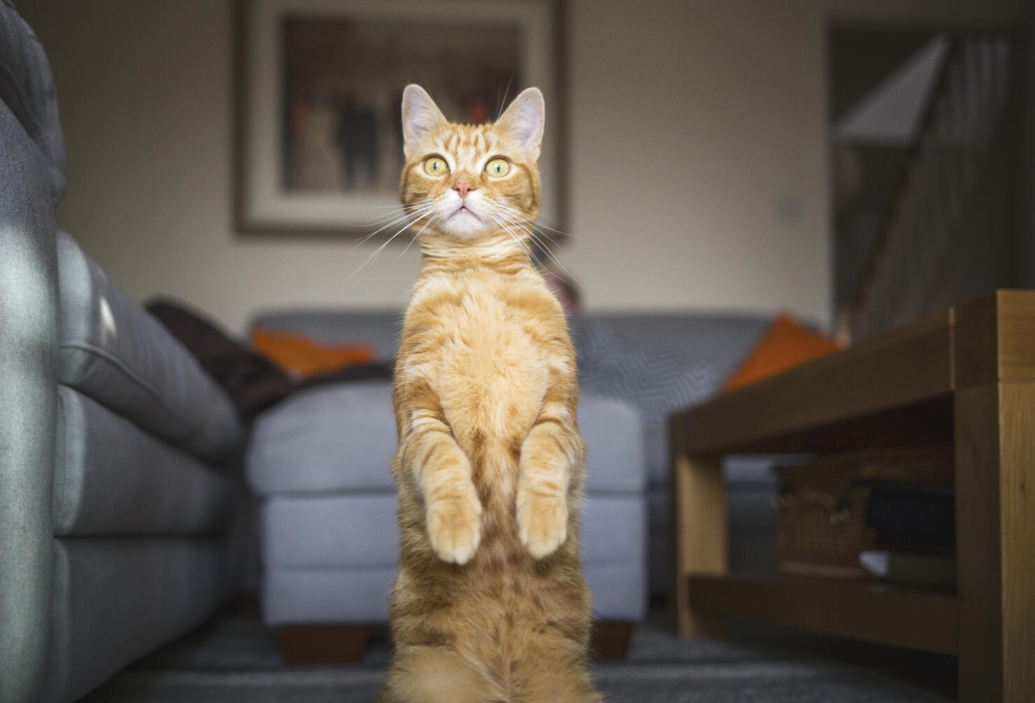 What you looking at?
