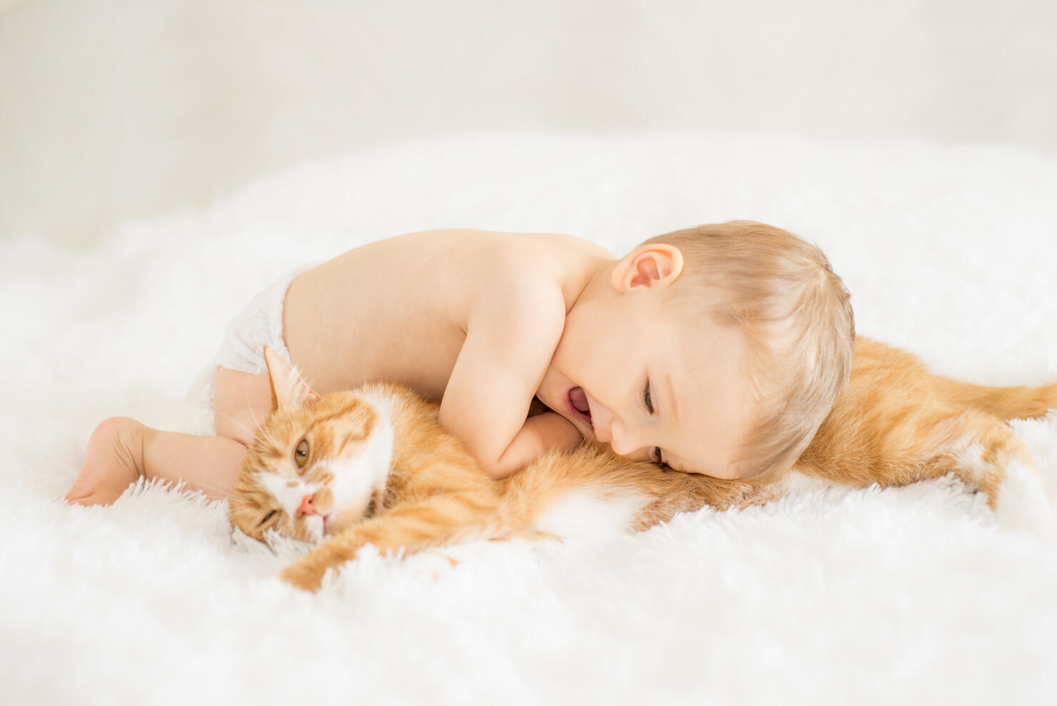It doesn't get much cuter than this.
