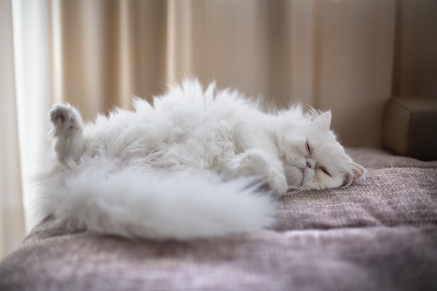 So sleepy.
