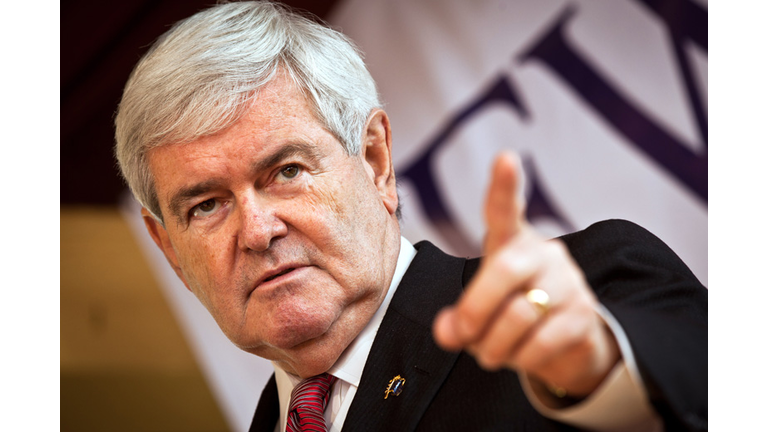 Newt Gingrich in Iowa