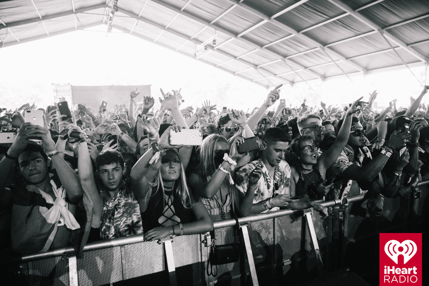 Fans