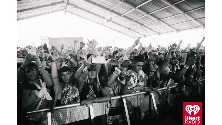 Fans