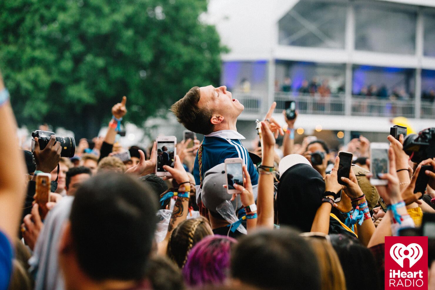 Cage the Elephant