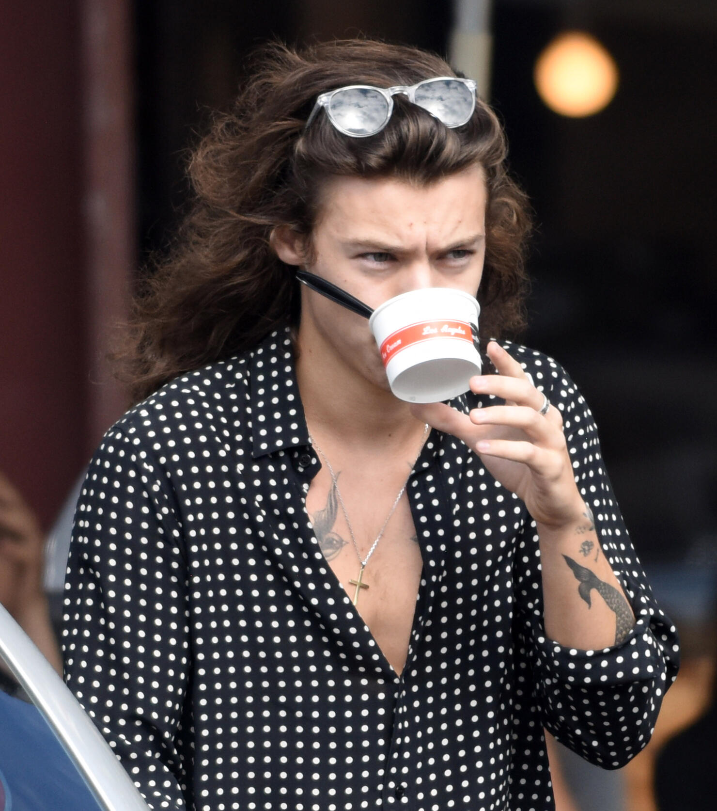 Harry Styles - Christmas Pudding Flavored Ice Cream