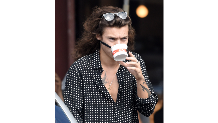 Harry Styles - Christmas Pudding Flavored Ice Cream