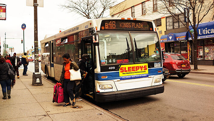 Dog Rides Bus to Park- Everyday and Back Home Again So He Can Play