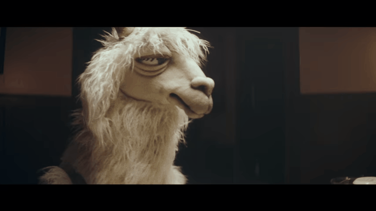 Llamas