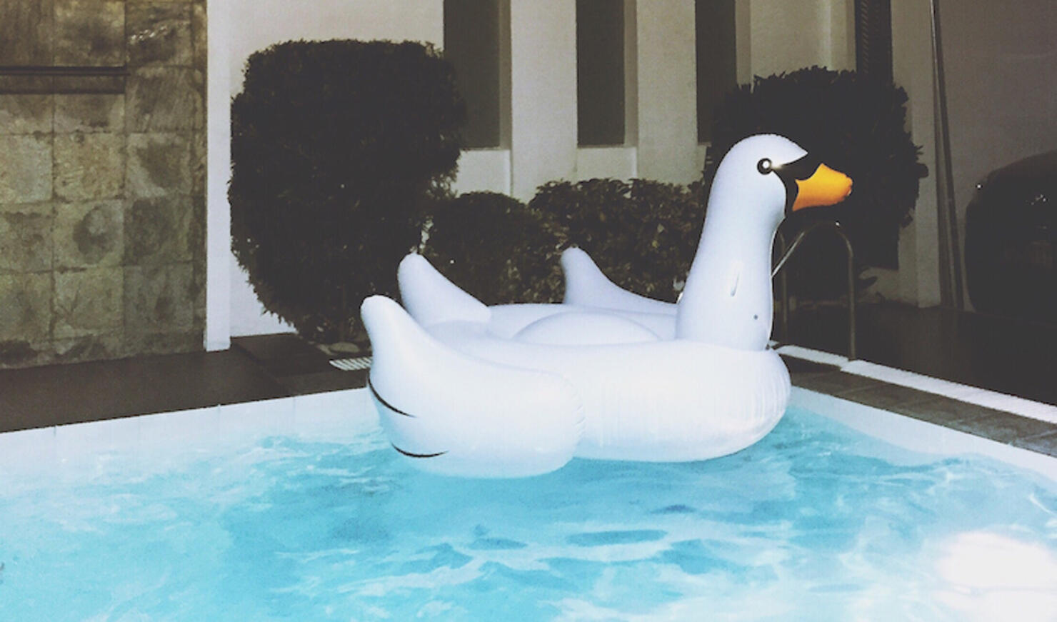 Inflatable Swan In Swimming Pool
