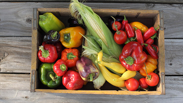 Man Runs Tiny Food Pantry From His Front Lawn Iheartradio