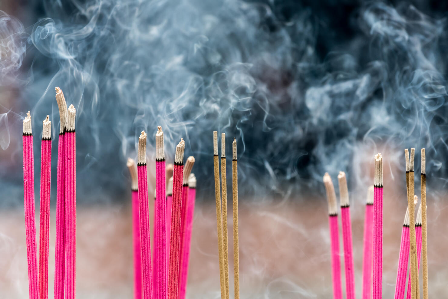 Four dozen natural-scented incense sticks