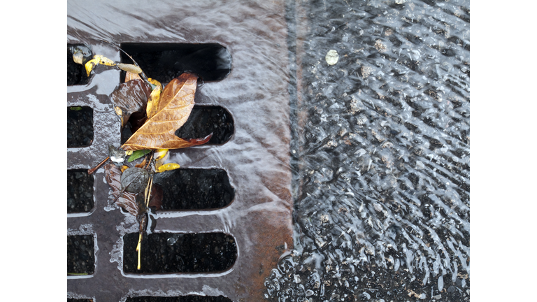 Storm Drain Getty RF