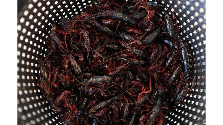 Crawfish Getty Images