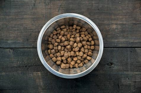 Chef Rachael Ray's Dog Food Brand Donates 4 Million Meals to Pets