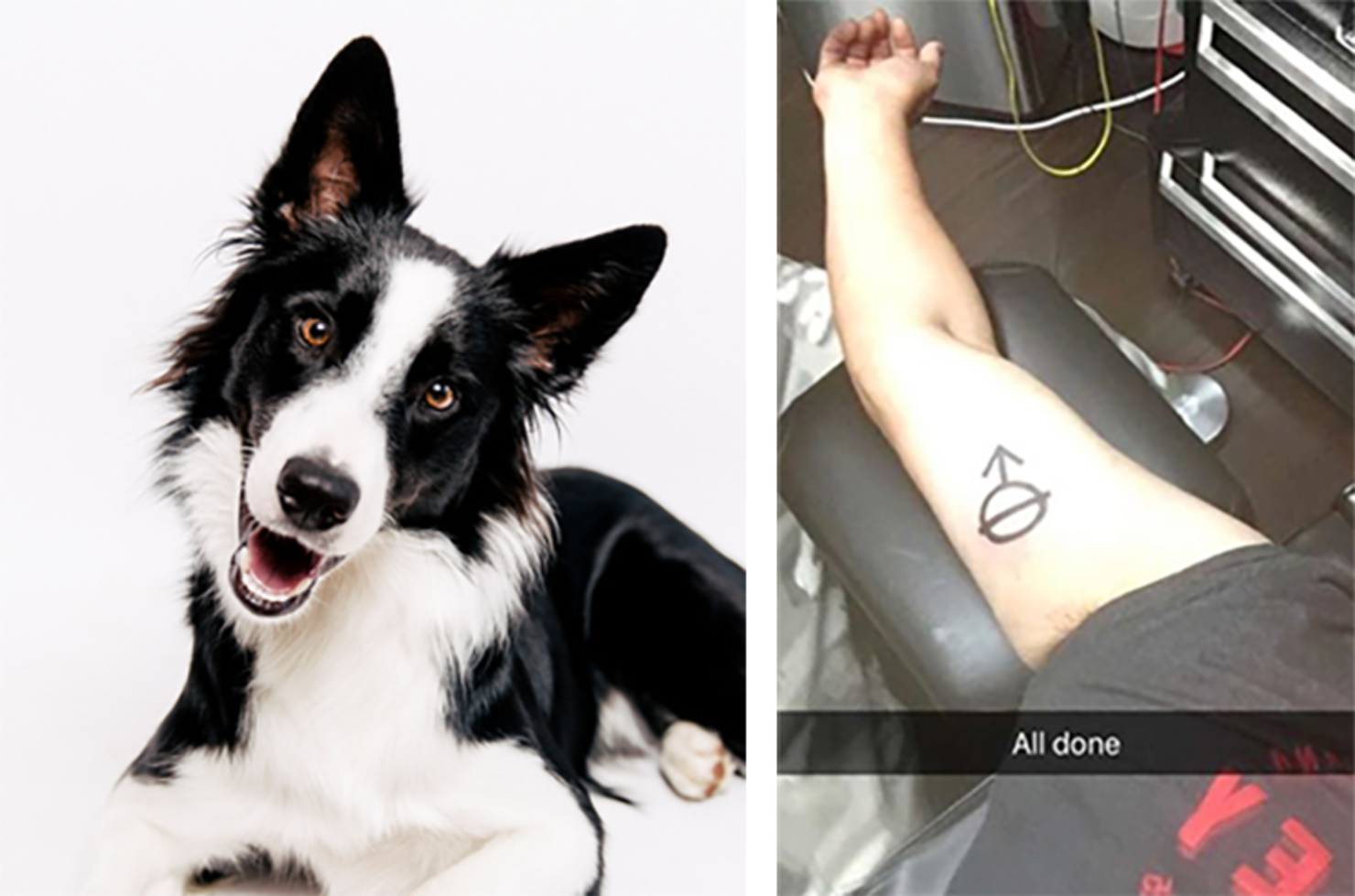 Big Mistake: Man Gets Same Tattoo As His Rescue Dog Not Knowing Its Meaning  | iHeart