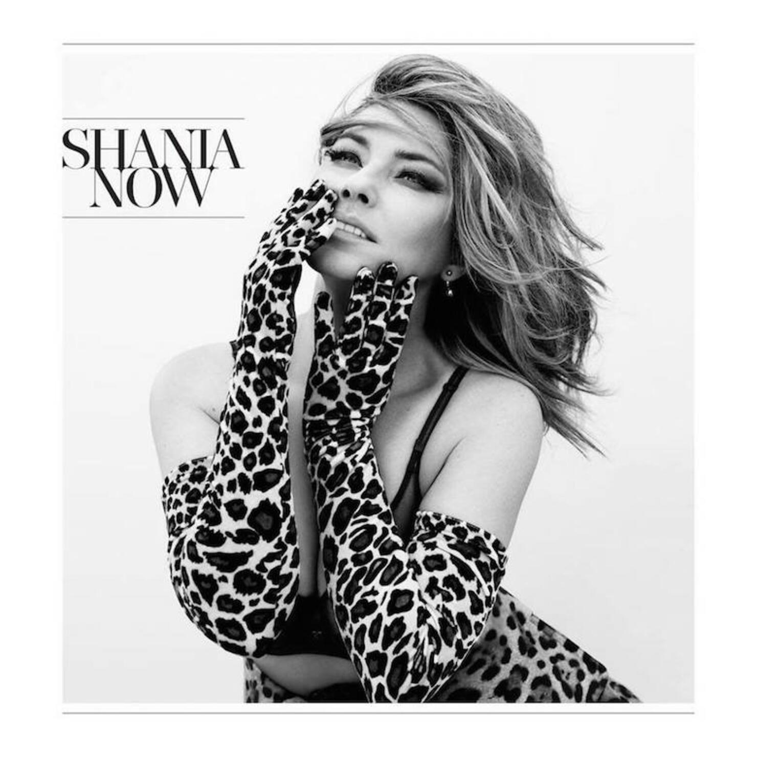 Shania Twain - 'Now'