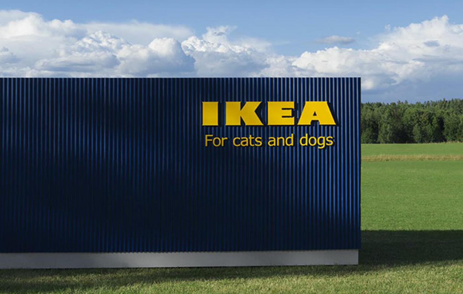 Ikea dogs 2024 in store