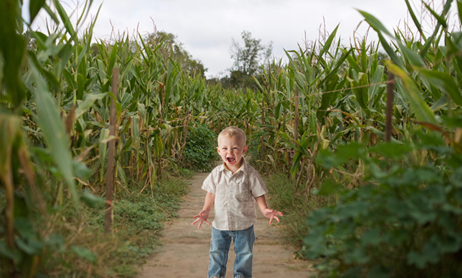 I been in the field like the children of the corn 