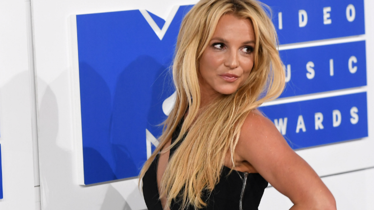 Dog Goes Viral for Howling Britney Spears's Toxic