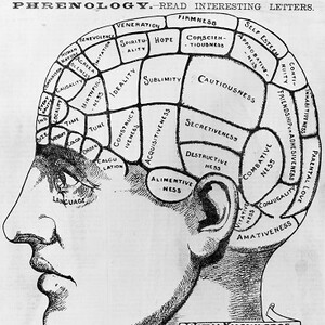 Consciousness Could Remain Active After Death