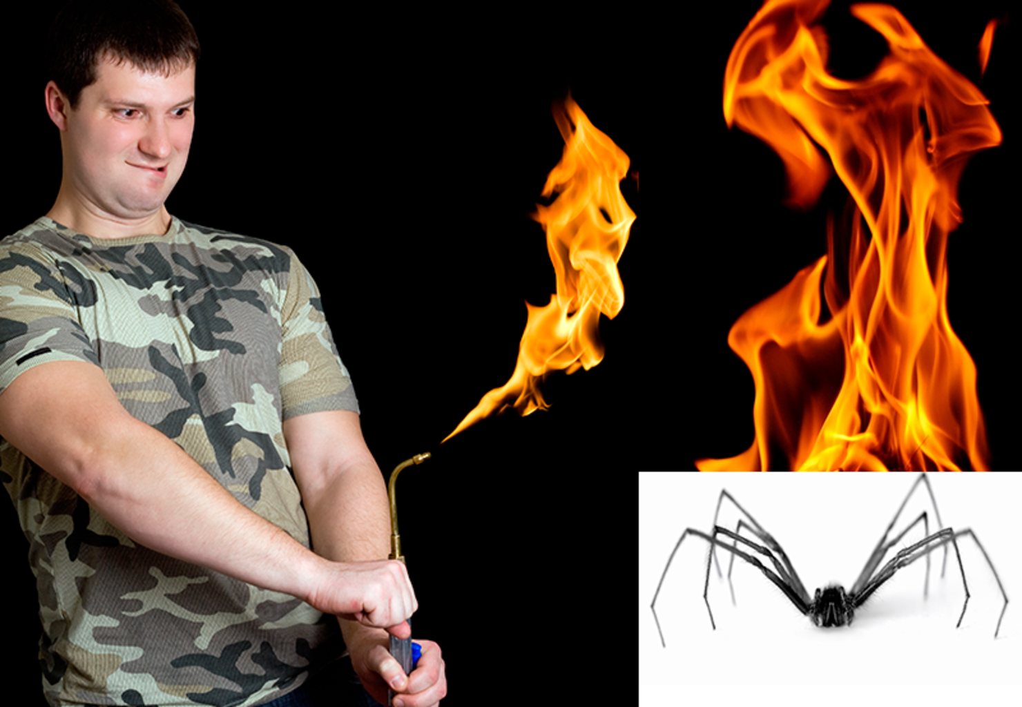 Spiders in the house? Put that blowtorch away