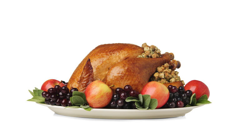 Thanksgiving Turkey
