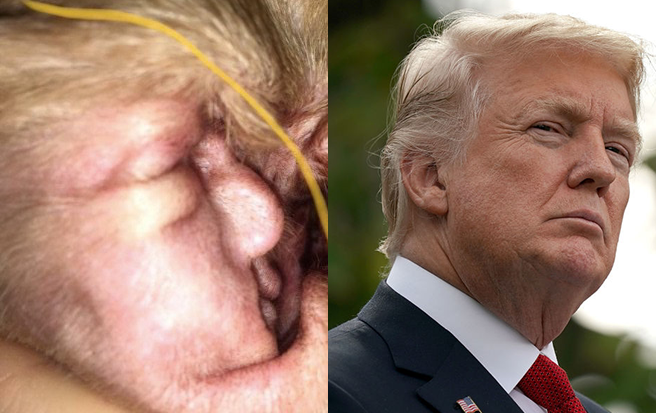 The Inside Of This Dog S Ear Looks Just Like Donald Trump IHeart   59ff6e6d6923e67c6bc0cc92