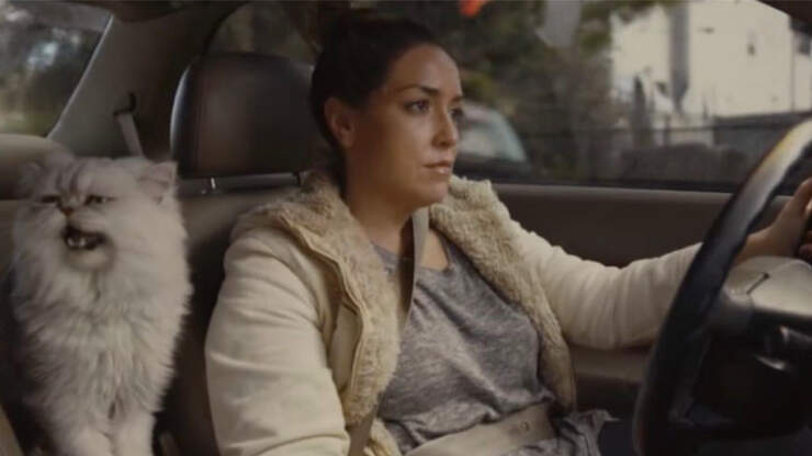 Insanely Viral Used Car Commercial Is Changing the Industry | KOA