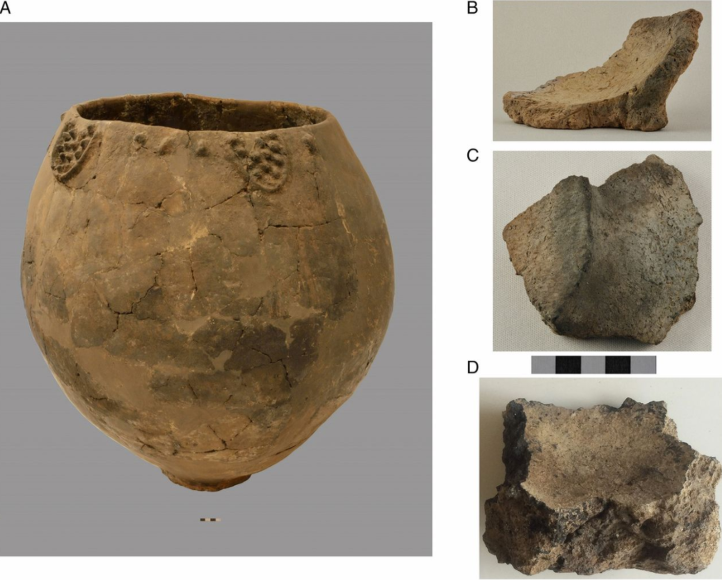 Самый древний по возрасту. Шулавери-Шомутепинская культура. Керамика археология. Древняя керамика черепки. Глиняные черепки археология.