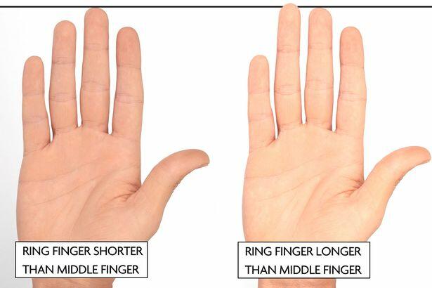 What It Means When A Man S Ring Finger Is Longer Than His Pointer   5a37e8d0ae7afc74d4ca6960