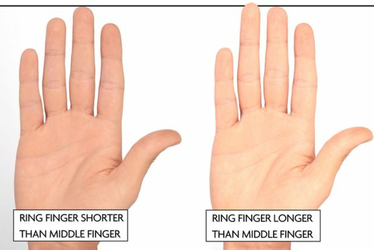 Указательный палец безымянный палец