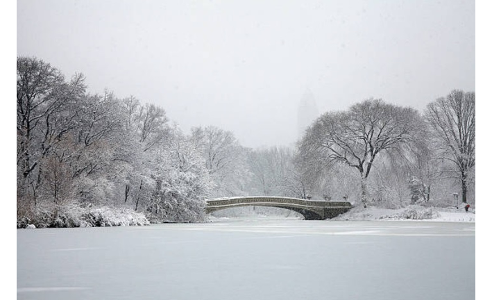 Photo: Getty Images